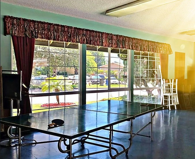 Clubhouse Ping Pong Table