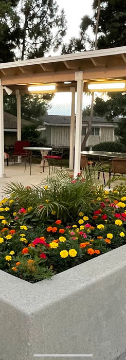 Clubhouse Patio