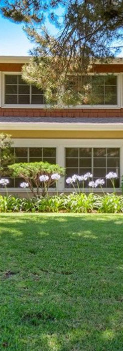 Grassy Area