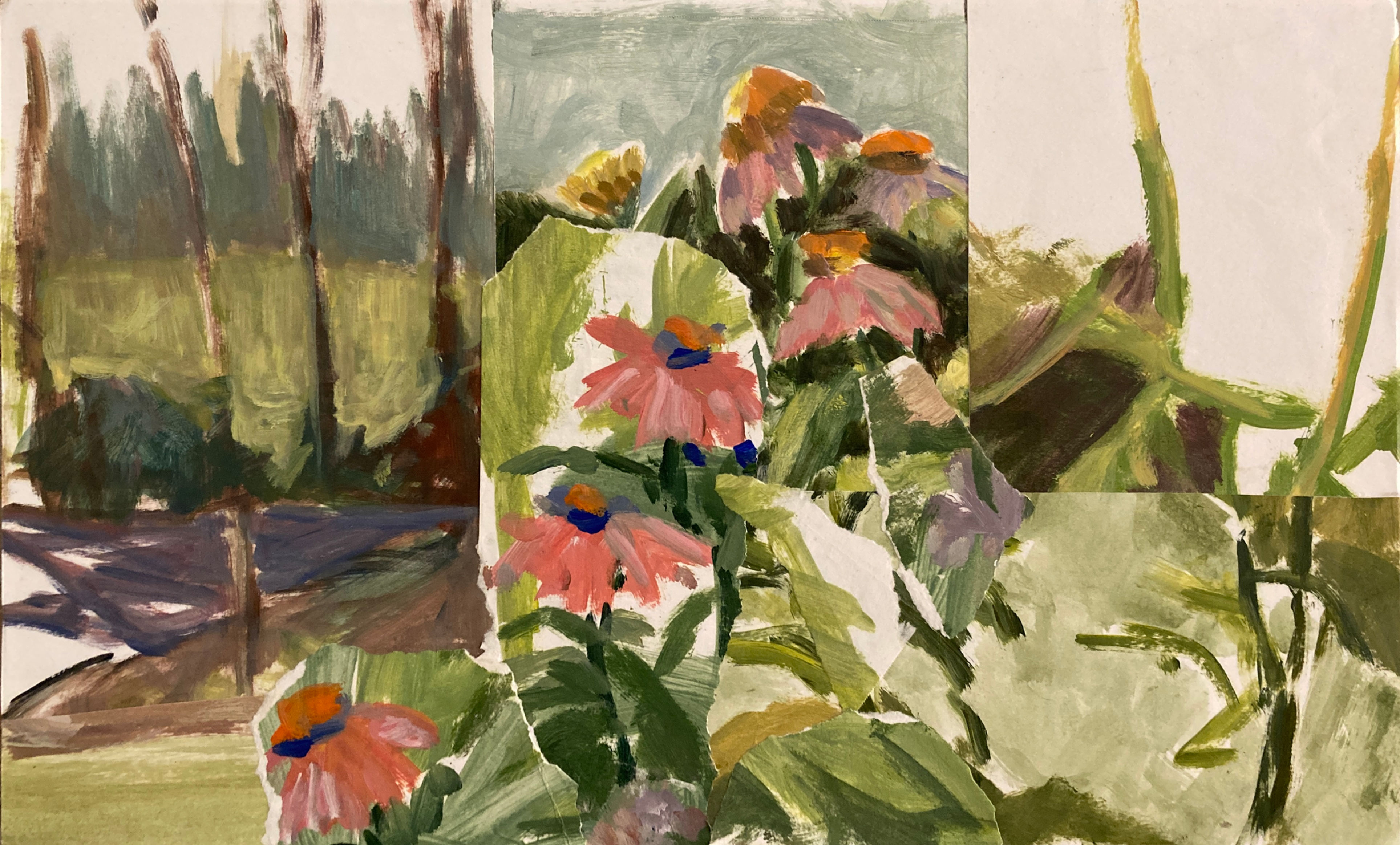 Coneflowers Collage