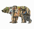 Bearswamp logo
