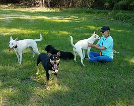 Shawn and her Carolina Dogs