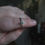 Thumbnail: Size 8 - Green Sapphire Ring