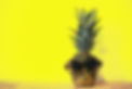 1_oItnEKGONsml_R0xHPiq-w copy.jpeg