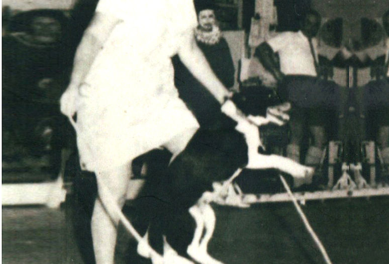 A tribute to Millie Mullins