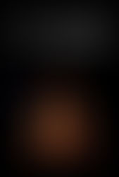 An Taibhse (The Ghost) / 2024 /John Farrelly /