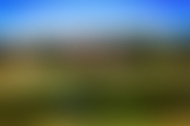 St Audries Park "Open day" 13.11.16