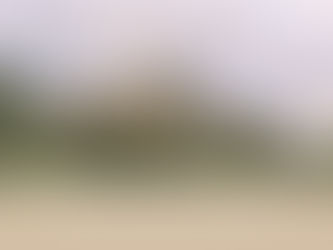 Berkeley Castle "Wedding inspiration day" 22.01.17