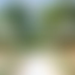 Nestled in the charming village of Ewen near Cirencester, Water’s Edge at Ewen is surrounded by tranquil spring fed lakes, rolling countryside and woodland, offering complete privacy in an utterly idyllic setting.