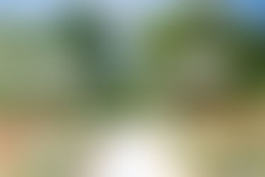 Nestled in the charming village of Ewen near Cirencester, Water’s Edge at Ewen is surrounded by tranquil spring fed lakes, rolling countryside and woodland, offering complete privacy in an utterly idyllic setting. 