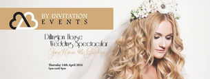 Dillington House "Wedding spectacular" 14.04.16