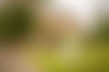 Old Bridge "Open day" 22.05.16