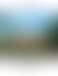 Clearwell Castle "Open day's" 8th & 22nd Jan 2017