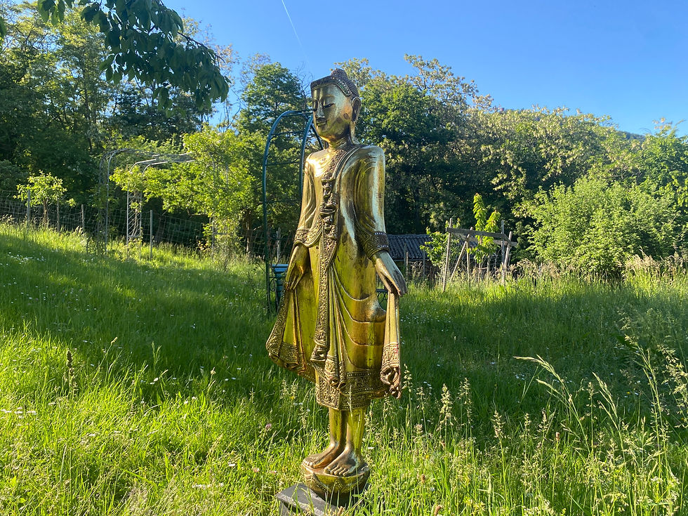 Thumbnail: Standing Buddha Wood