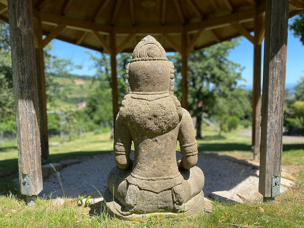 Miniature : Shakti Stone