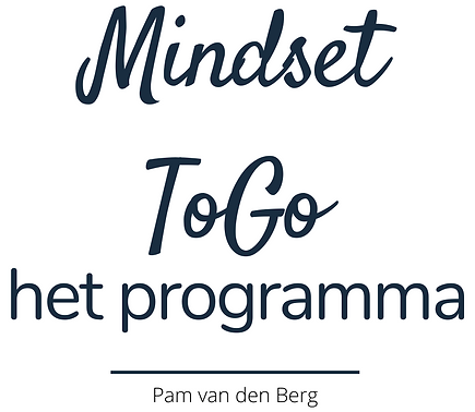 Mindset ToGo (1).png