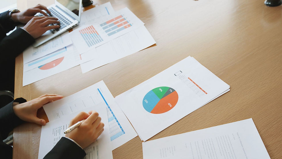 Beratung für Projektentwickler PV