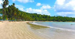 corbyn's cove beach