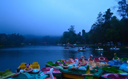 kodai lake4
