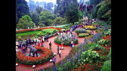 centenary rose garden