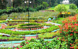 Bryant Park - Kodaikanal - 02