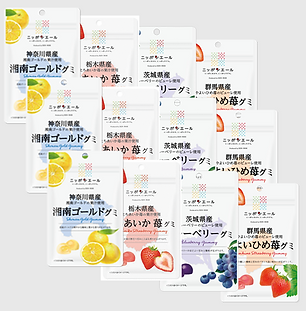 +α_神奈川DXサムネイル.png