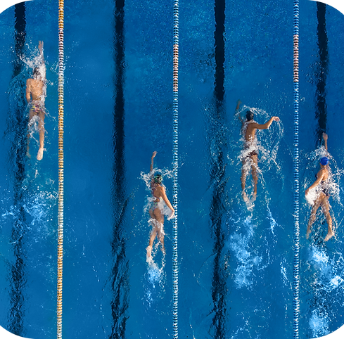 A Group of athlete swimmers in a pool