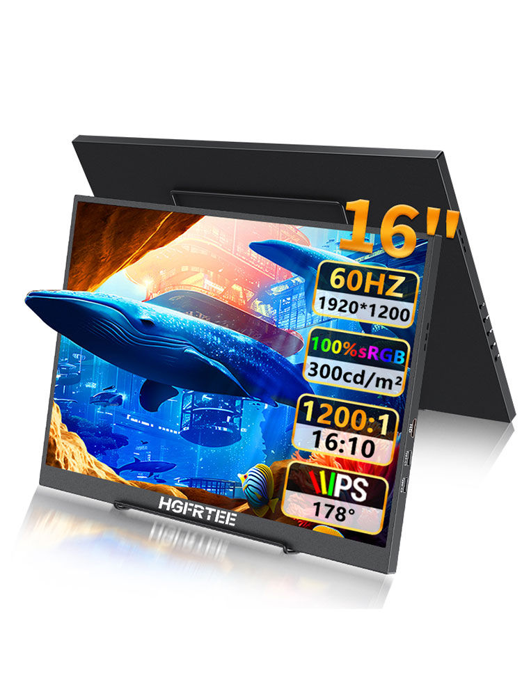 HOFUTEE 16 Zoll Monitor zeigt Wal, 60HZ, 1920x1200, 100% sRGB IPS.