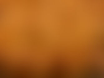 Ham and Cheese Sliders