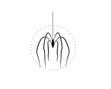 logo_Mesa de trabajo 1.png