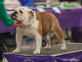 Latke 11mos Illiana Specialty.jpg