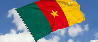 CMR-.png