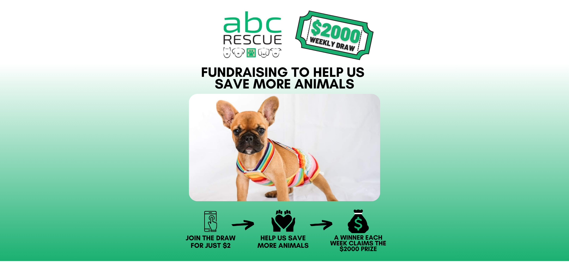 Reward For Rescue REWARDS | All Breeds Canine Rescue