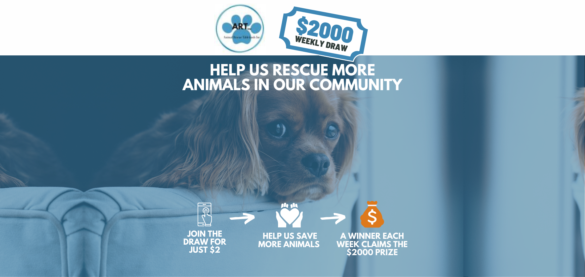 Reward For Rescue REWARDS | Animal Rescue Tablelands