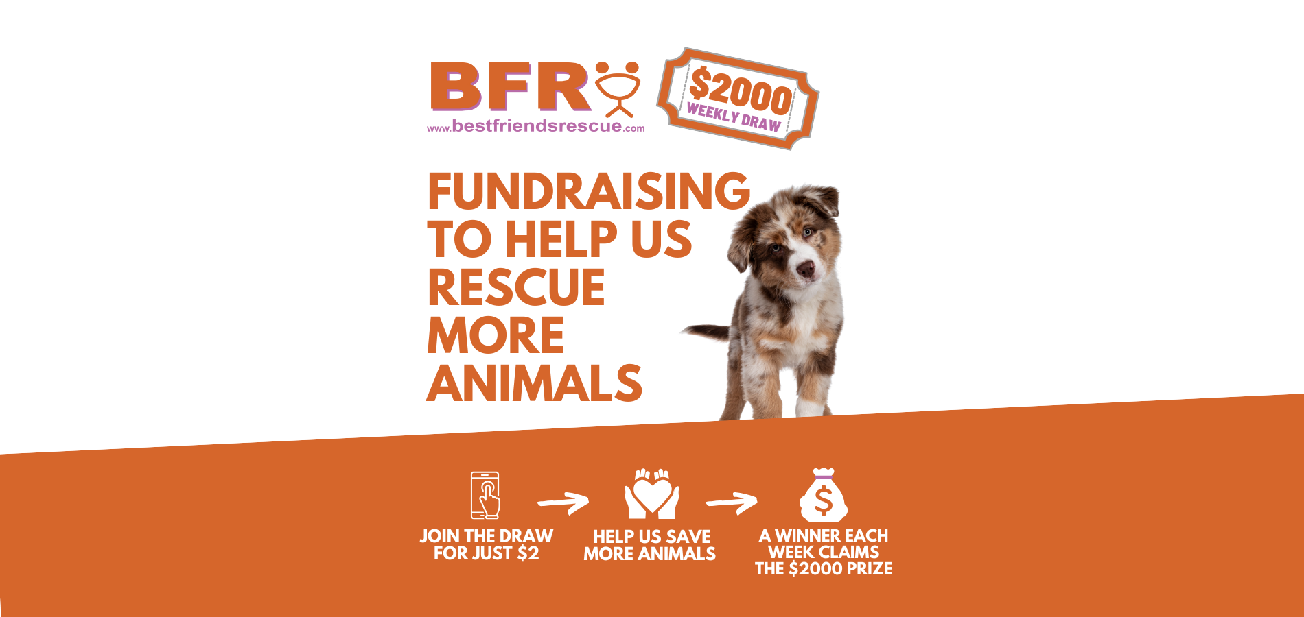 Reward For Rescue REWARDS | Best Friends Animal Rescue