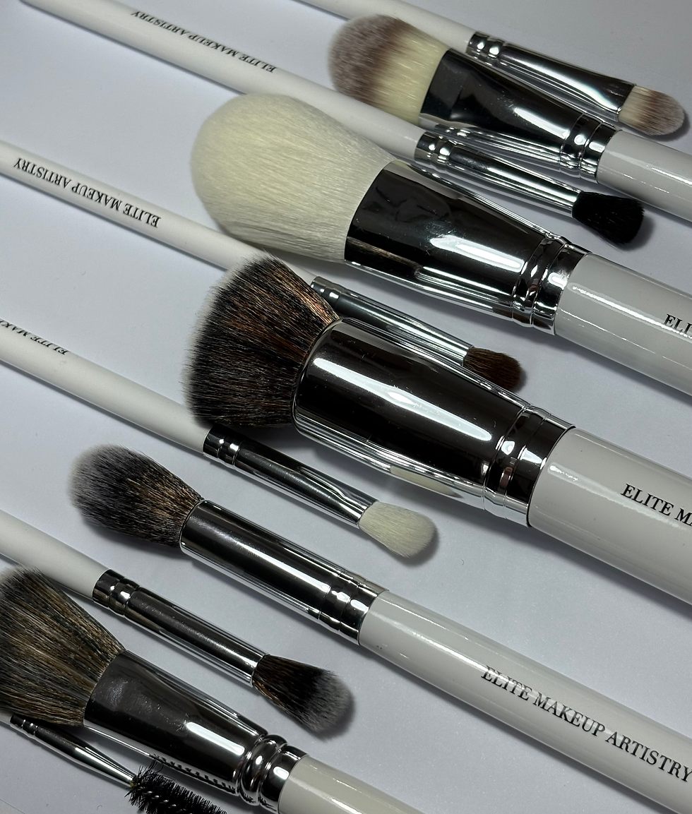 Brush Set