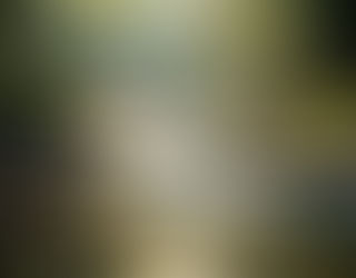 Beginning with Who We Are -- Matthew 3:13-17 (1st Sunday After Epiphany)