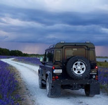 pexels-viktor-lundberg-754595 (1).jpg