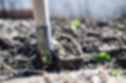 eco bio natura agricoltura