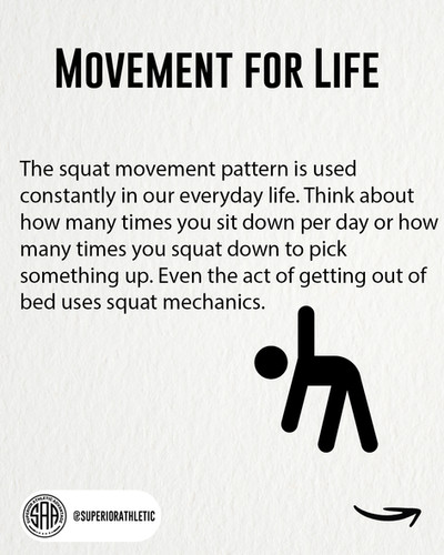 Fundamental Movement Pattern Fundamental Movement Pattern: The Squat
