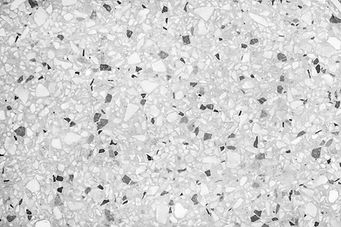 AdobeStock_250583675.jpg