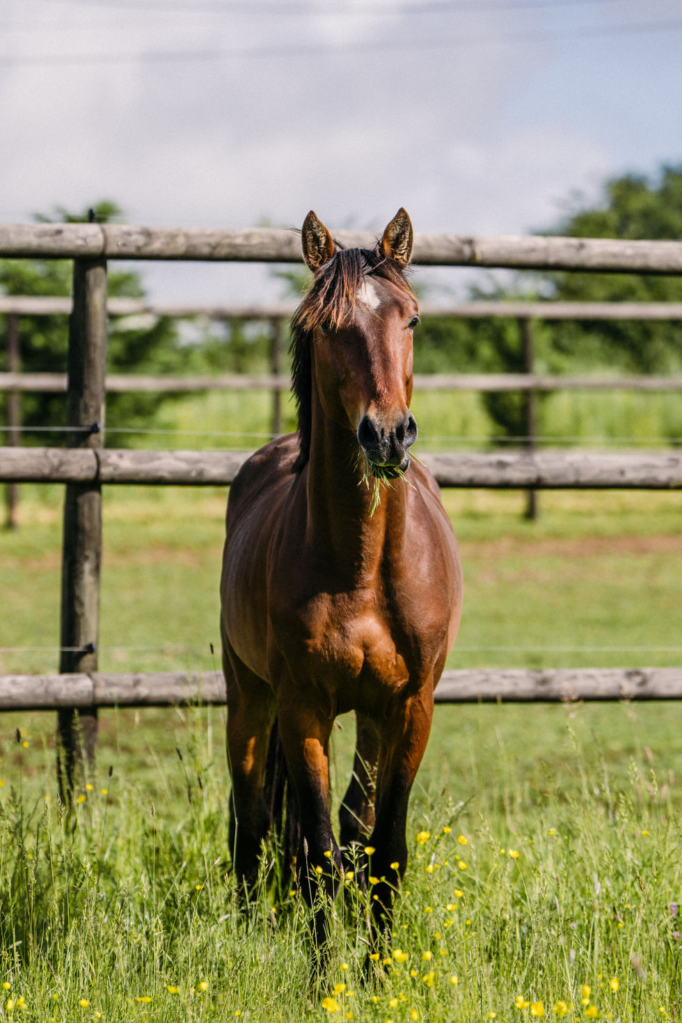 1505-MalenaBreeding-CecileSablayrolles-DSC00338