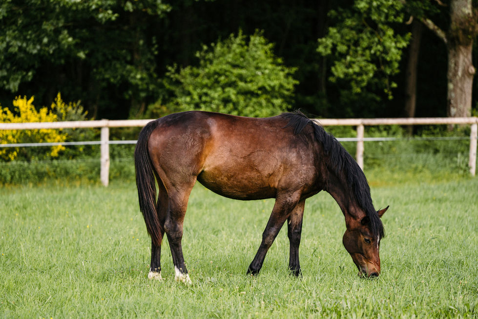 1505-MalenaBreeding-CecileSablayrolles-DSC00397