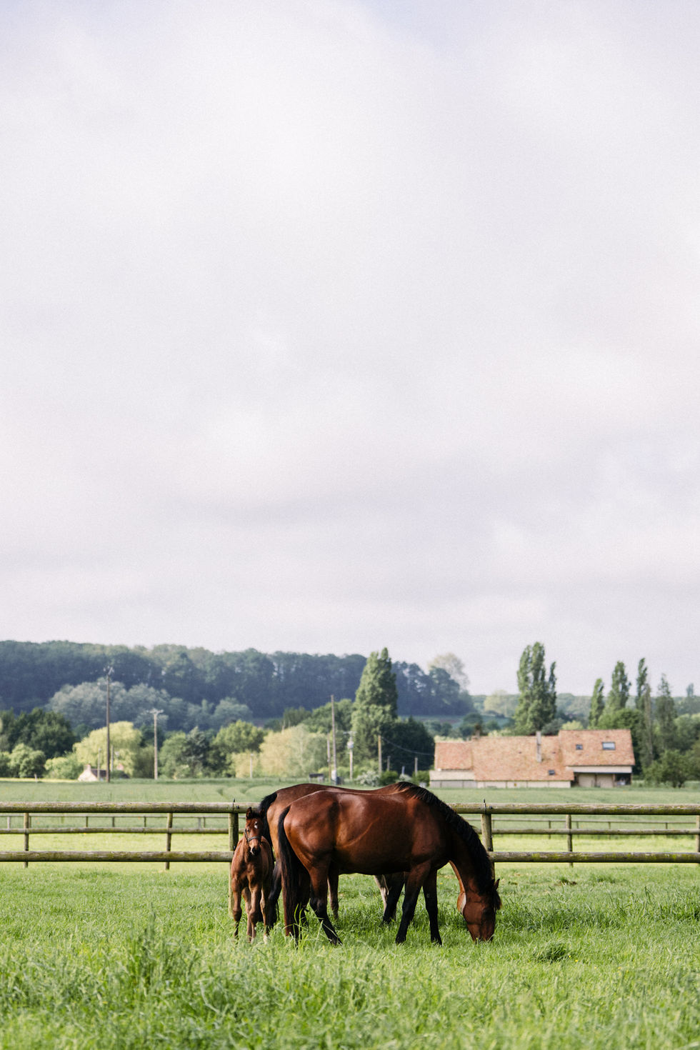 1505-MalenaBreeding-CecileSablayrolles-DSC00225