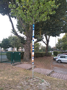 IMG_20240817_200454_MP.jpg
