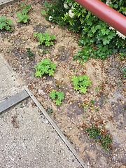 20250521_155512.jpg
