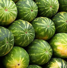 Watermelon