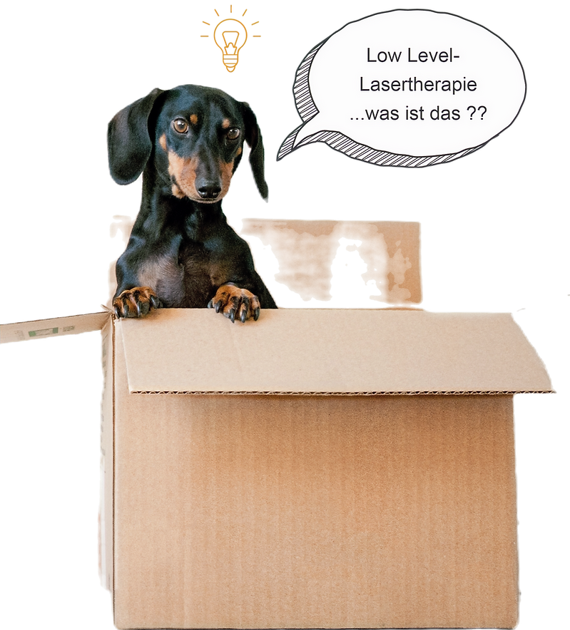 Moving Day_edited_edited_edited_edited_e