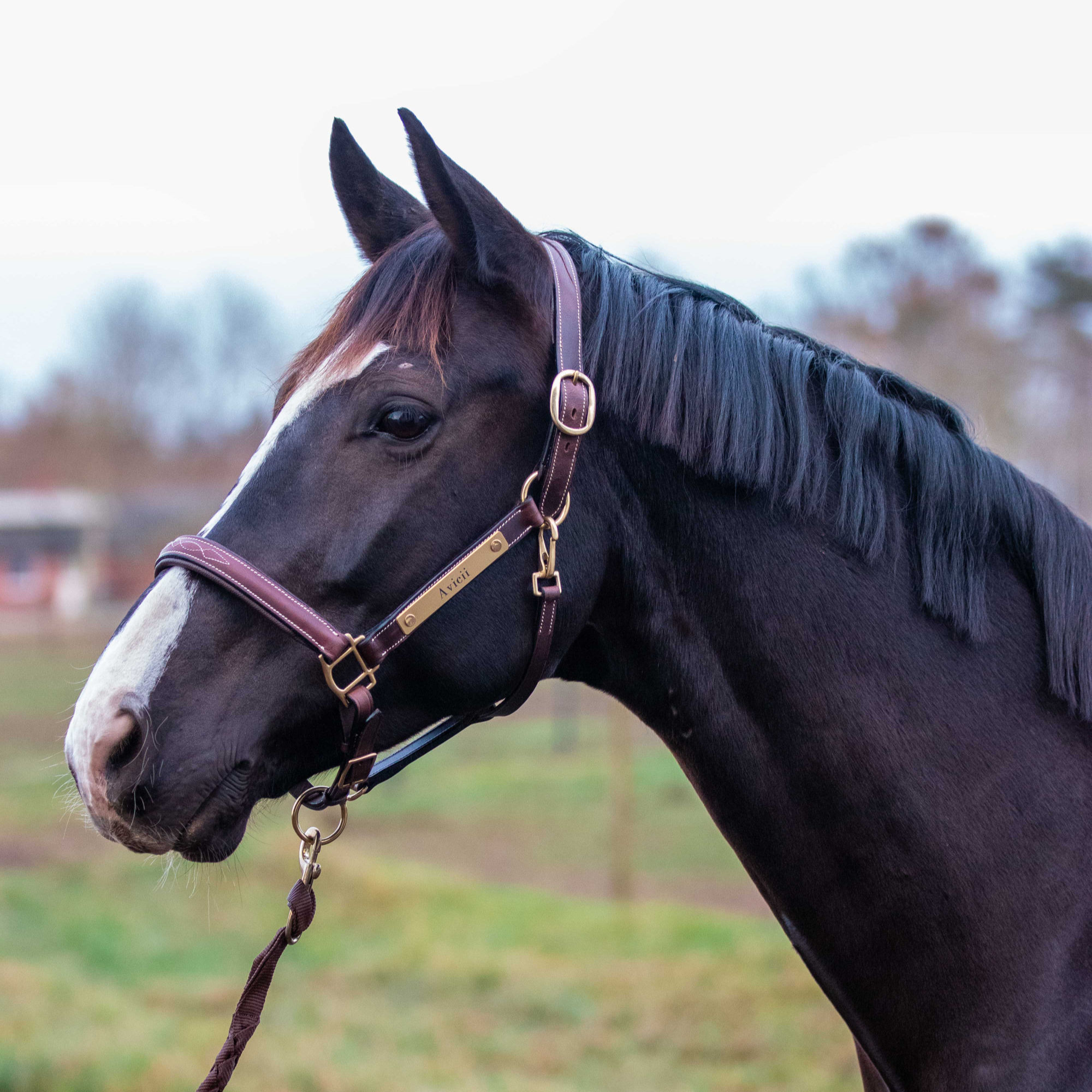 KM Lædergrime m. navneskilt
