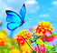 Creating a Magical Butterfly Garden